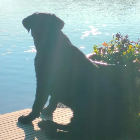 Rantala Talo Keitele Jaerven Rannalla