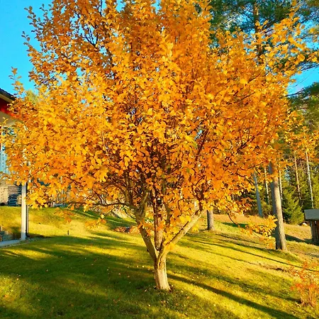 Rantala Talo Keitele Jaerven Rannalla * Kymonkoski