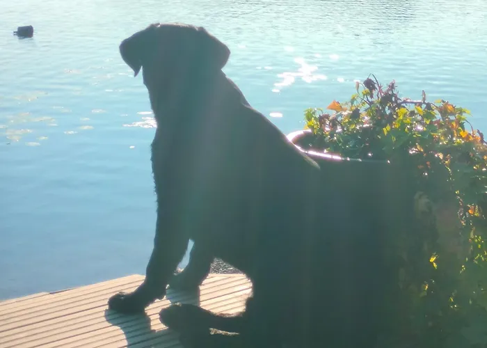 Rantala Talo Keitele Jaerven Rannalla