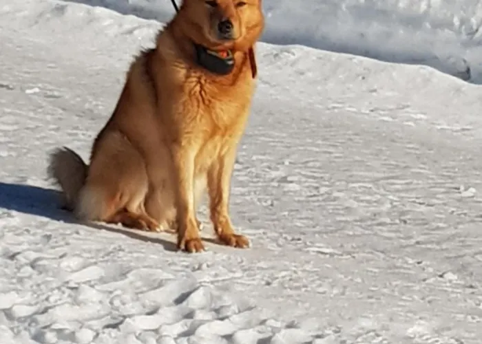 Rantala Talo Keitele Jaerven Rannalla Lägenhet Kymonkoski