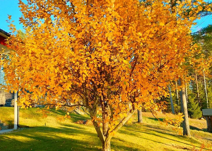 Rantala Talo Keitele Jaerven Rannalla * Kymonkoski